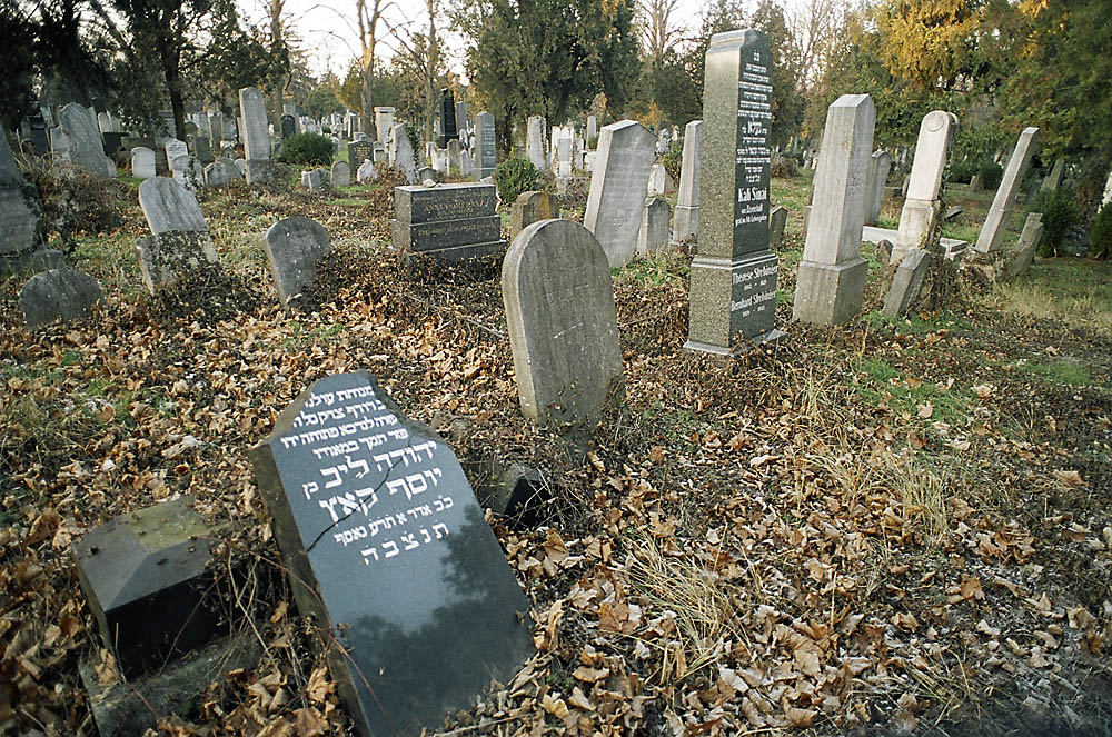 Jewish Section, Vienna Central Cemetery